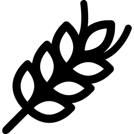 GraINsite